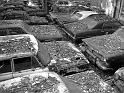 Autofriedhof - 213